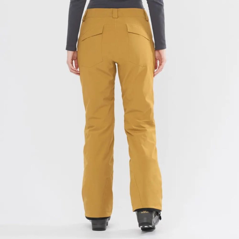 Pantalones De Esquí Salomon Edge Mujer Marrom | MX VWDK128